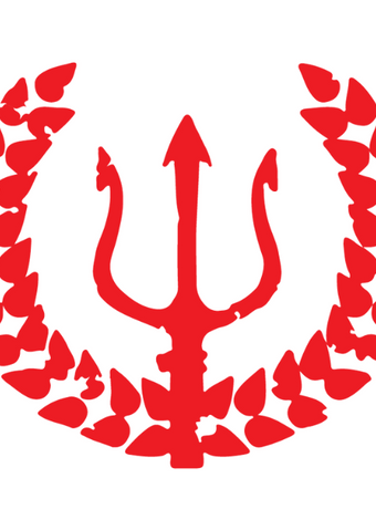 Club Natación Alfa Ilicitano