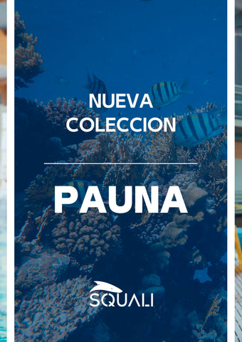 Pauna Collection